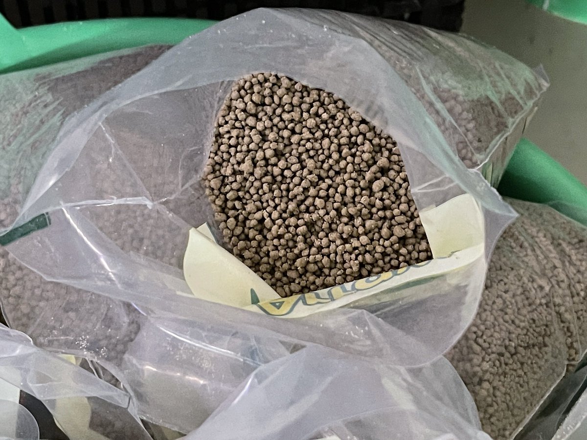 CORAFNews's tweet photo. #WATEF jour 3. Visite sur le terrain à l’usine de transformation de céréales “Mamelle Jaboot” de Thiès🇸🇳
#Innovation #Agriculture #Développement @Taat_Africa @IITA_CGIAR @AfDB_Group @FARAinfo https://t.co/GuB1WFrxbT