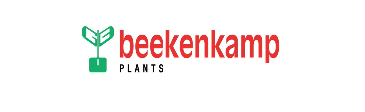 The organisers of Flower Expo Ukraine are pleased to welcome Beekenkamp Plants as a new exhibitor to Flower Expo Ukraine 2022! Find out more about Beekenkamp Plants beekenkamp.nl/en/
