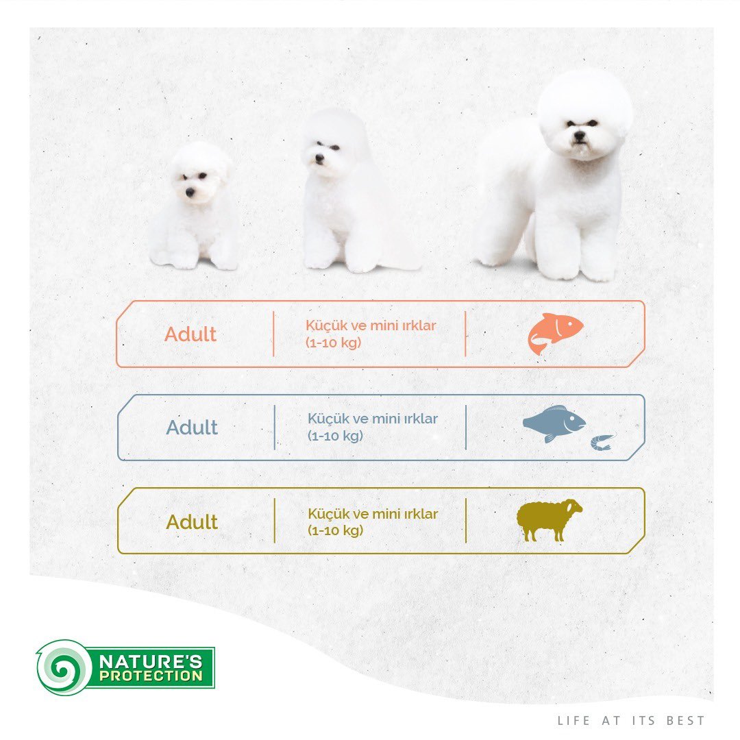 Beyaz tüylü, büyük ve küçük köpek maması!

Beyaz Köpekler için özel olarak tasarlanan  Superior Care, göz çevresindeki tüyleri renklendiren ve tahriş eden gözyaşı lekelerinin giderilmesine  yardımcı olur.
.
.
.
#naturesprotection #naturesprotectiontr