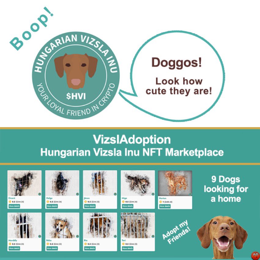 @nfte_co Vizsla <a href="/HunVizslainu/">Hungarian Vizsla Inu & VizslaSwap</a> $HVI #HVI #NFT