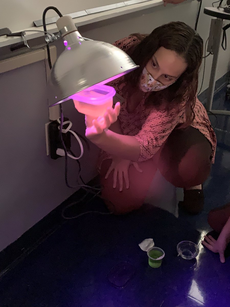 Visitation LS (@vizlowerschool) on Twitter photo Did you know jello can glow in the dark? Just ask a member of the #WeAreVizLS Science Club and they will tell you how! π©π½βπ¬π§ͺ <a href="/MrsSkubic/">Kelly Skubic</a> Did you know jello can glow in the dark? Just ask a member of the #WeAreVizLS Science Club and they will tell you how! π©π½βπ¬π§ͺ <a href="/MrsSkubic/">Kelly Skubic</a>