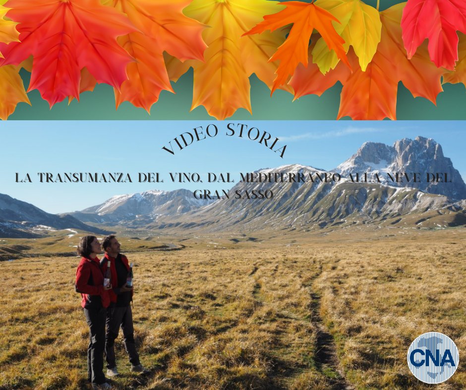 cnanazionale's tweet photo. 📺Il racconto autunnale di straordinaria normalità ci porta dove già si pensa all'inverno: sotto la neve si compie la transumanza dei vini di tutta Italia. Eccoci con Bruno e Lorena, di Pendeche @vinidaltura per #CNAStorie. Da oggi, anche in video
👉https://t.co/SHfH9FG4OM https://t.co/hJ8ZhUlqum