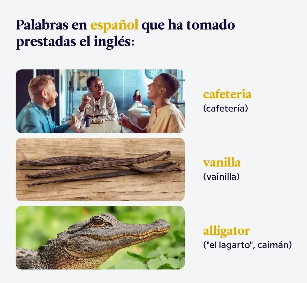 voxabular tweet media