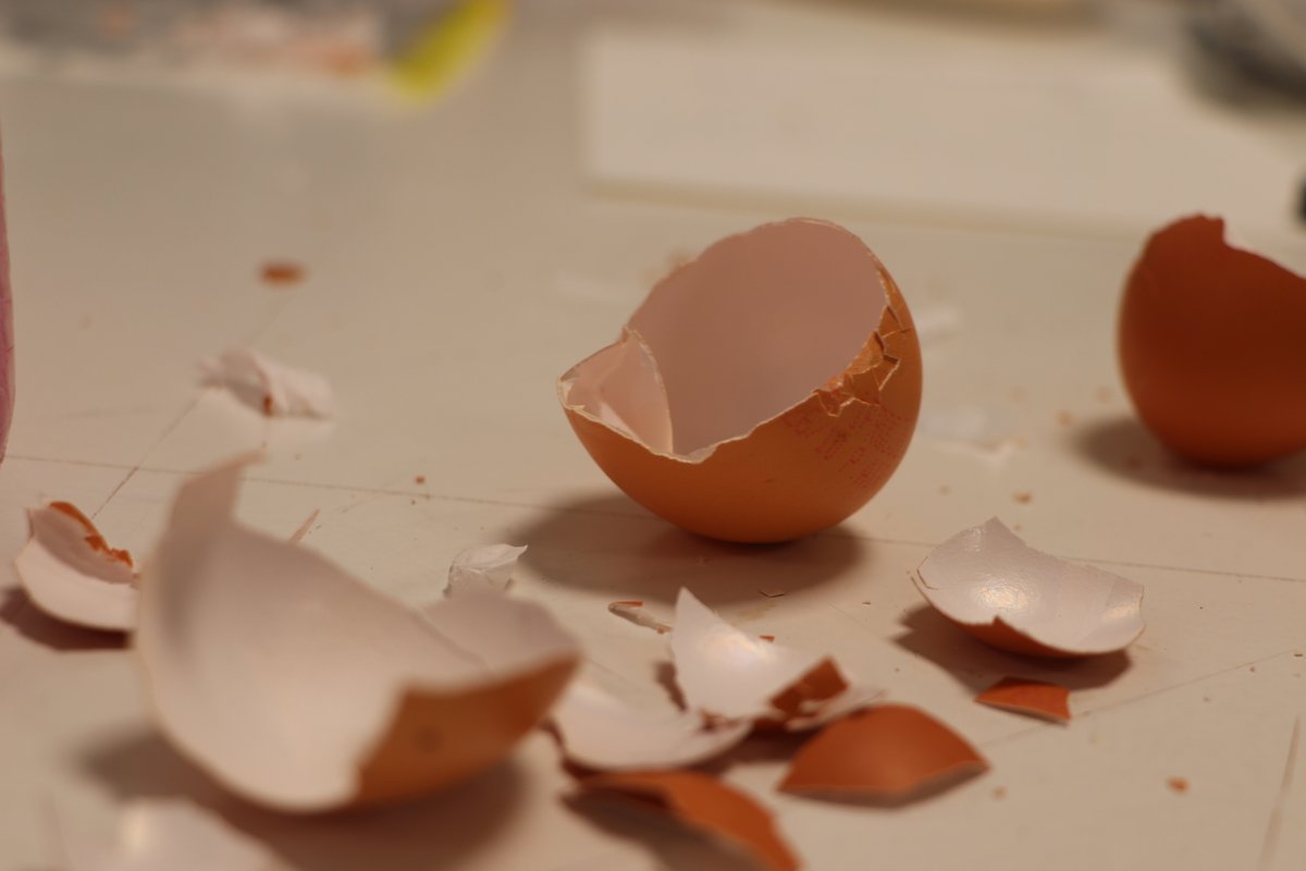 WorkshopLISAA's tweet photo. Des coquilles d'œuf et des feuilles ? mais que peuvent bien faire les étudiants avec ?

Eggshells and leaves? but what can students do with it?

@EcoleLisaa

#workshop 
#LISAA
#LISAAworkshop2021 https://t.co/eyQBOxoMCu