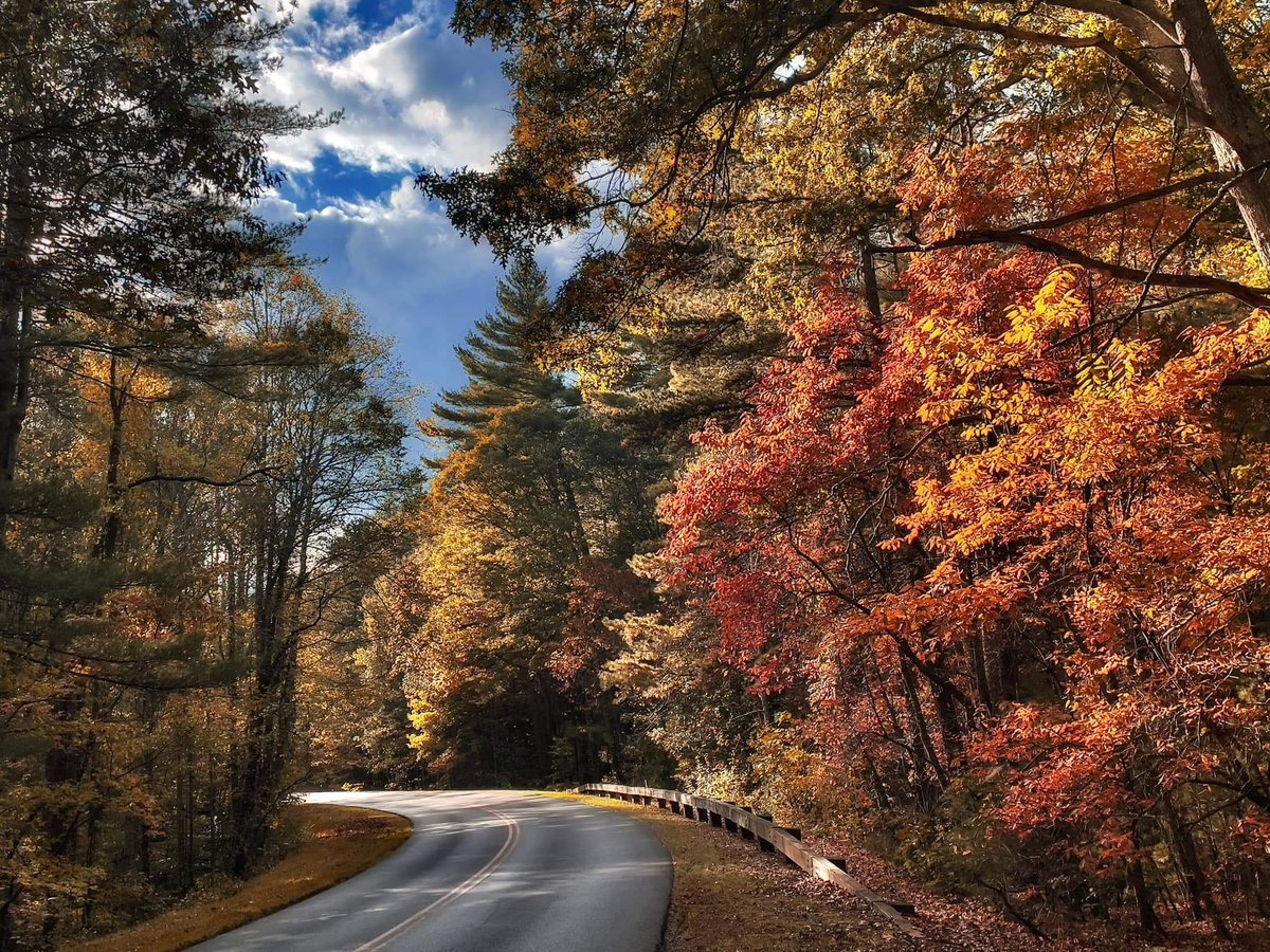 Color up the ride....💚💛🧡

#Autumnvibes  #nature #0ntheroadagain #life