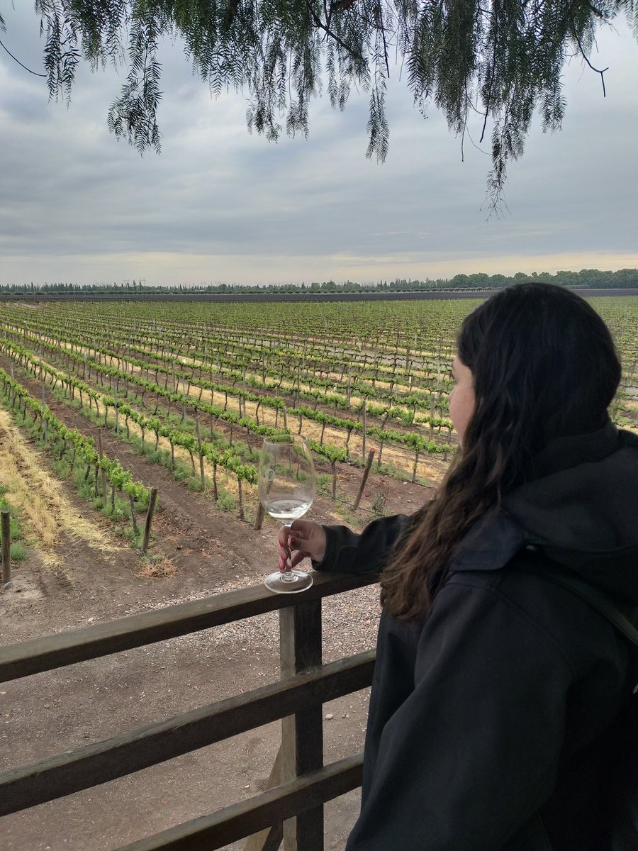 Nadiluh's tweet photo. ¿Sabían que #Mendoza es una de las capitales del vino a nivel mundial? 🍷Pasear por los viñedos y conocer más sobre el proceso de producción es una experiencia que hay que vivir sí o sí. 🍇Los paisajes son majestuosos en cualquier época del año. 
#Argentina #turismo  #viajes https://t.co/jvAw6kFCBM