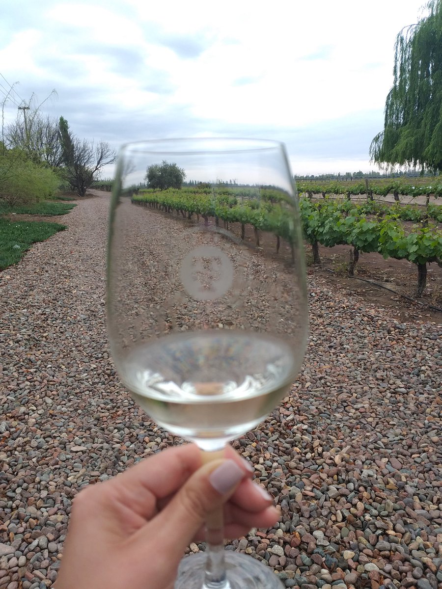 Nadiluh's tweet photo. ¿Sabían que #Mendoza es una de las capitales del vino a nivel mundial? 🍷Pasear por los viñedos y conocer más sobre el proceso de producción es una experiencia que hay que vivir sí o sí. 🍇Los paisajes son majestuosos en cualquier época del año. 
#Argentina #turismo  #viajes https://t.co/jvAw6kFCBM