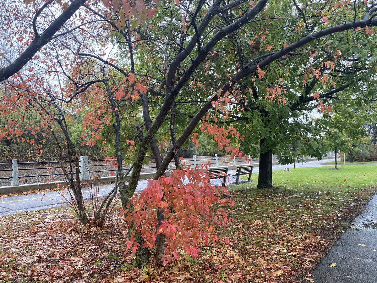 IsmoSikat's tweet photo. Sad day,I was silent on a delicate subject that I did not expect but never accepted, today my daughter was a victim French school.I can't even say the word “Racism”in her school #Ottawa @Ottawacepeo 2021 really sad @CTVNews @MonaFortier @LucilleCollard @MathieuFleury @rawlsonking https://t.co/5ho2XTZs0g