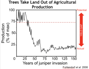 Are you a producer curious about how much forage you may be losing to trees? This blog post and companion webinar detail how the Rangelands Analysis Platform can help producers and managers learn exactly how much forage they've lost to encroaching trees. buff.ly/3qw15Rl
