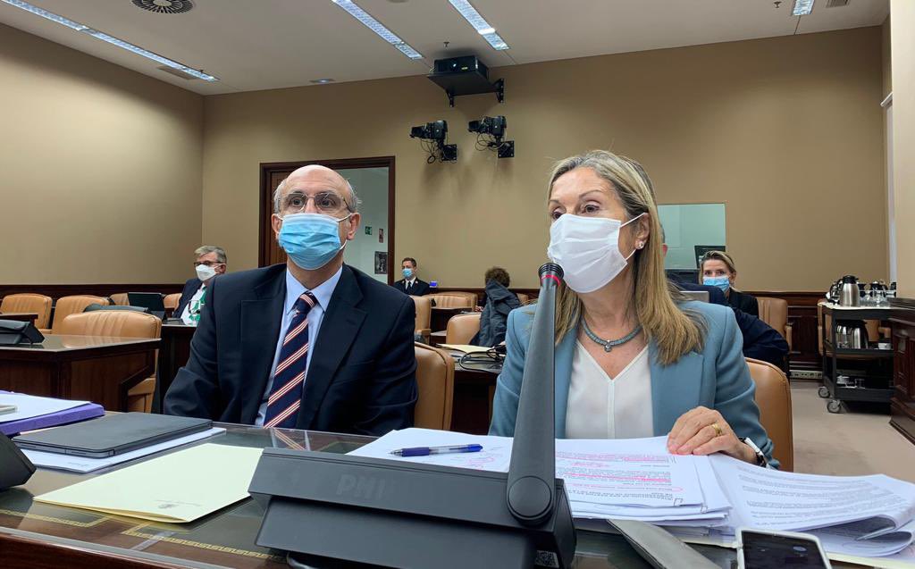 Ana Pastor Julián tweet media