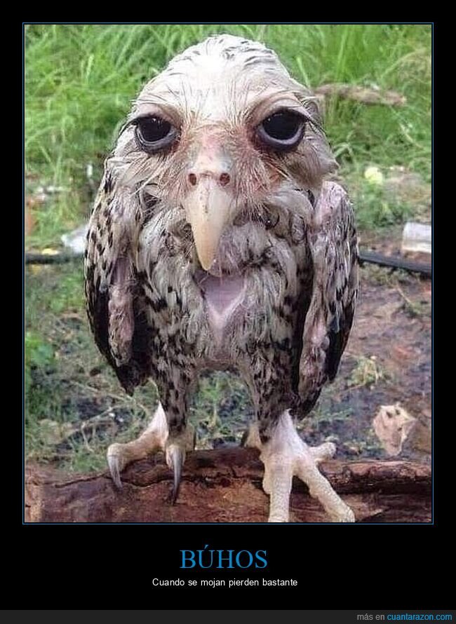 Cuánta Razón tweet media