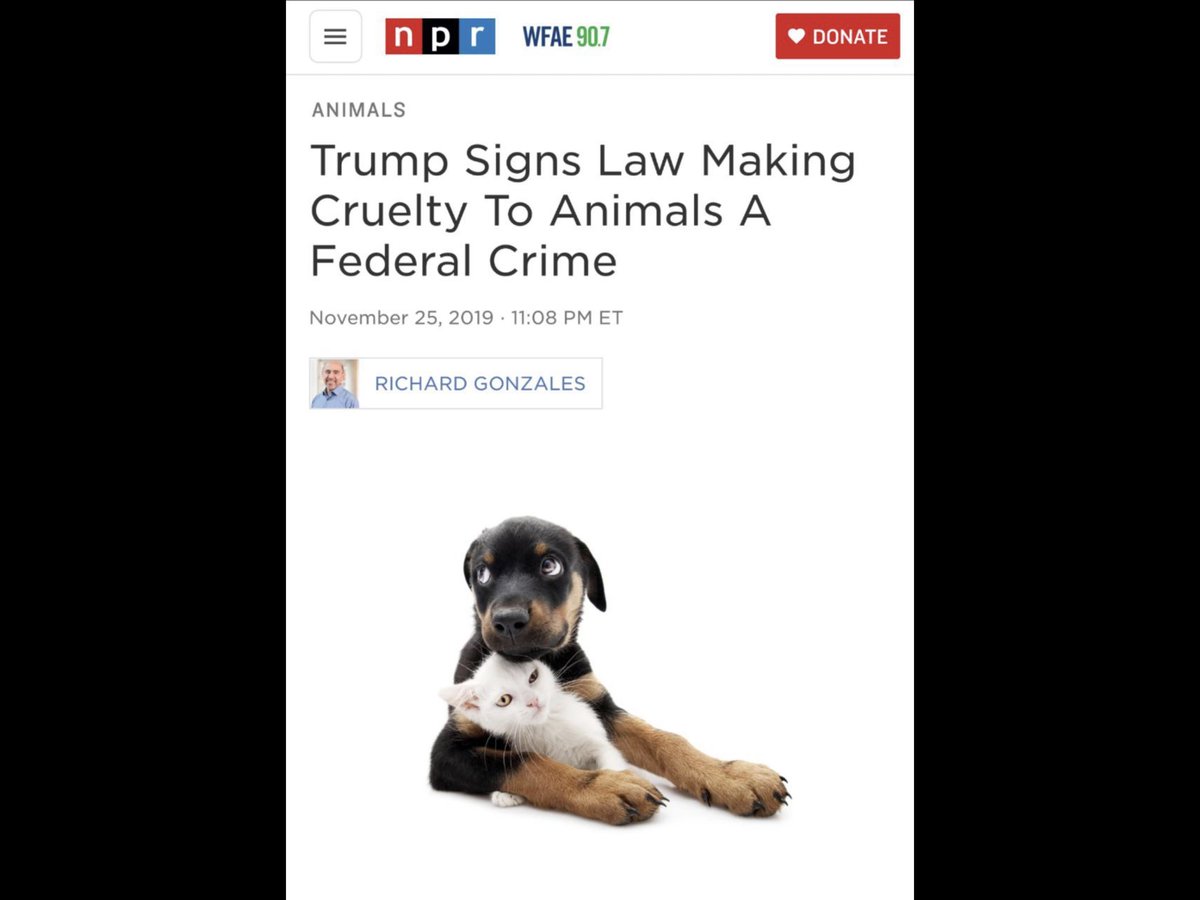 speaakn2's tweet photo. Cruelty to animals is a Federal Crime, Fauci #DemonDoctor https://t.co/XypJ3L7MxX