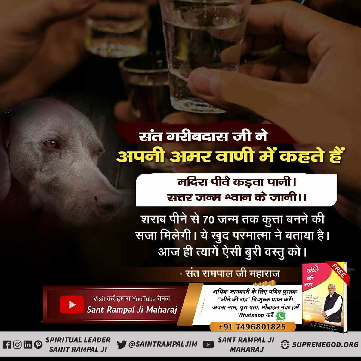 संत गरीबदास जी कहते हैं
मदिरा(शराब) पीवे कड़वा पानी,
सत्तर जन्म कुत्ते के जानी।।
शराब पीने से 70 जन्म तक कुत्ता बनने की सजा मिलेगी। ये खुद परमात्मा ने बताया है। आज ही त्यागें ऐसी बुरी वस्तु को।