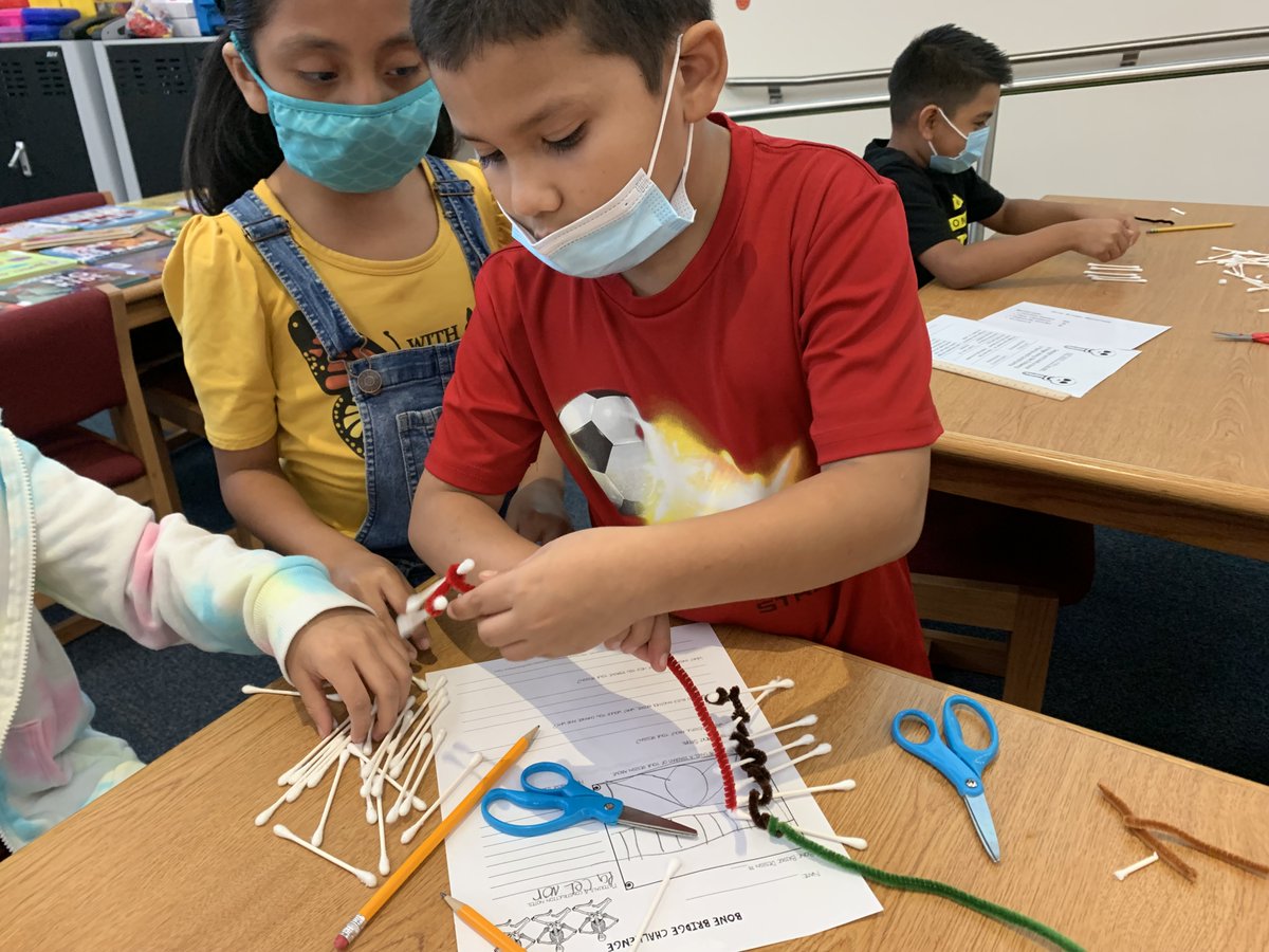 henrielibrary's tweet photo. Henrie 2nd graders attempted to build a "bone" bridge (cotton swab) for their spiders to cross. Planning, collaborating and listening were skills we practiced. #Henriehawks https://t.co/y1HaSbGpLs