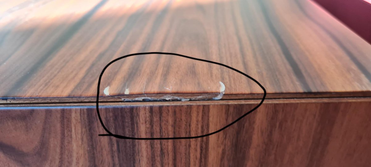 marina beccantini tweet media