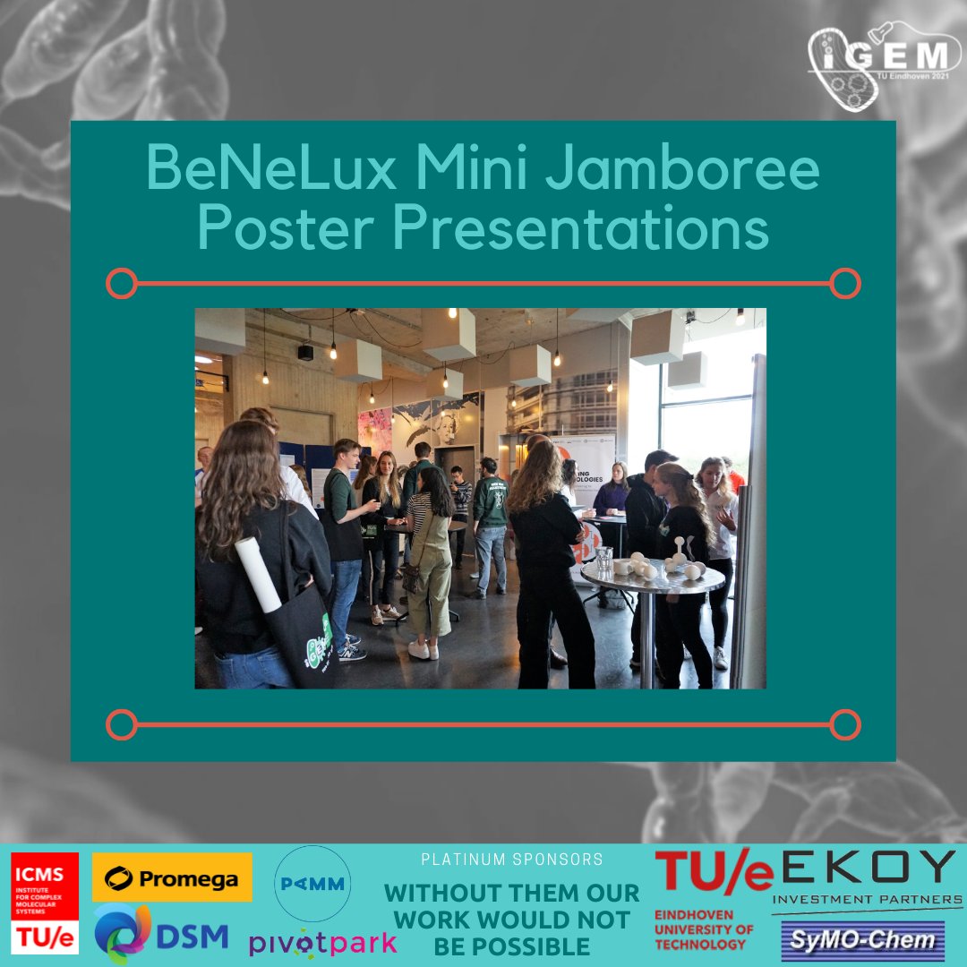 Eindhoven_iGEM's tweet photo. Congratulations to the winning teams! If you have missed it, you can view it back on our Facebook Page!
Thank you to all the Teams, our judges and the sponsors presenting.
#igem #igem2021 #igemeindhoven #igemproject #IBD #IBDetection #tue #studentteam #IgemMiniBeNeLuxJamboree https://t.co/knpraxM4uP