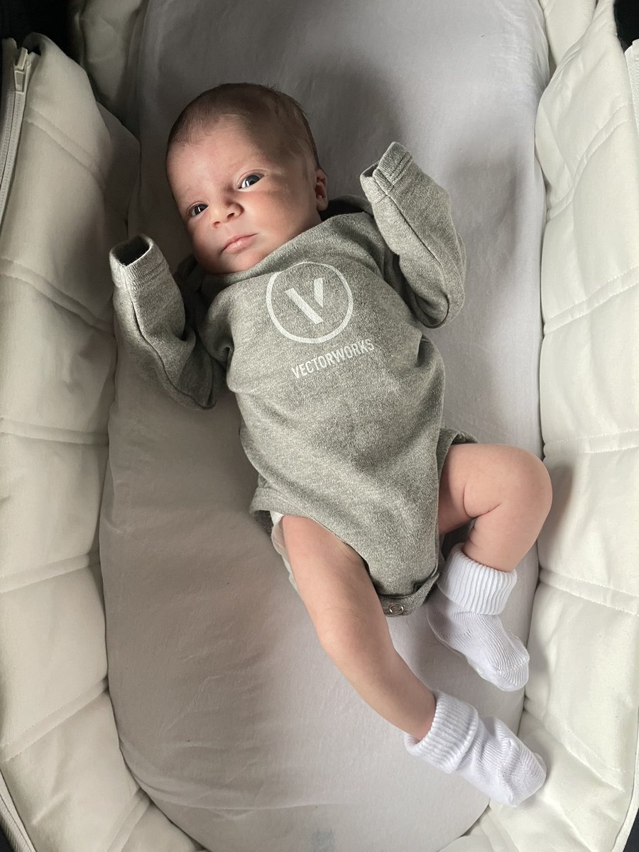 lisamcravey's tweet image. Baby Anna at 6 days old… world’s youngest @Vectorworks champion?!

@Vectorworks_UK @VWUK @VectorworksLady #Vectorworks2022 #BIM #landarch #swag