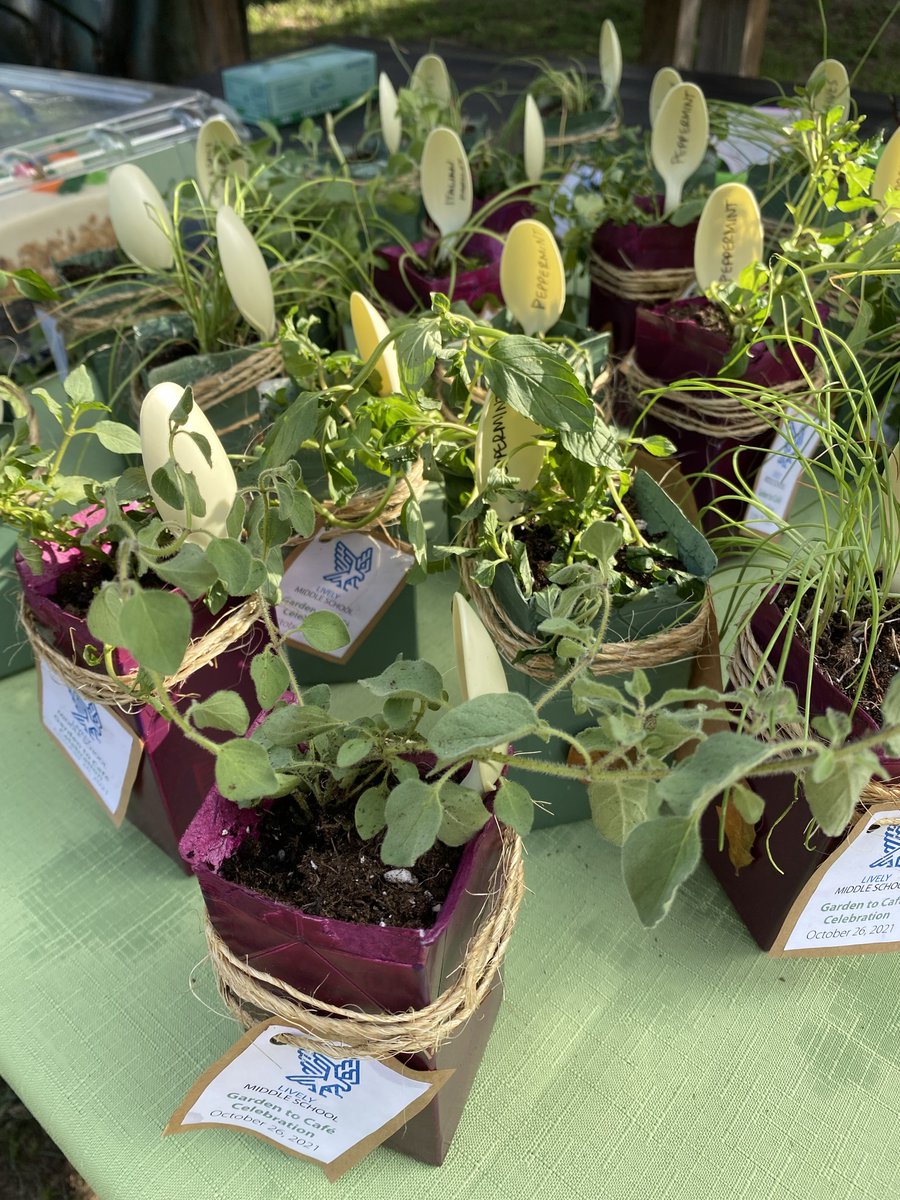 Austin ISD Food Service (@austinisdfood) on Twitter photo 🌱Let's grow, Lively! This week we celebrated the launch of the <a href="/LivelyFalcons/">Lively Falcons</a> Garden to Café program with @lasahighschool student and past <a href="/ecorise/">EcoRise</a> intern Hays Turner, <a href="/AustinISD/">Austin ISD</a> Executive Chef Diane Grodek, & <a href="/thelivelygarden/">Lively MS Garden</a> teacher Brittany Morgan.
#AISDProud
#AISDGreen 🌱Let's grow, Lively! This week we celebrated the launch of the <a href="/LivelyFalcons/">Lively Falcons</a> Garden to Café program with @lasahighschool student and past <a href="/ecorise/">EcoRise</a> intern Hays Turner, <a href="/AustinISD/">Austin ISD</a> Executive Chef Diane Grodek, & <a href="/thelivelygarden/">Lively MS Garden</a> teacher Brittany Morgan.
#AISDProud
#AISDGreen