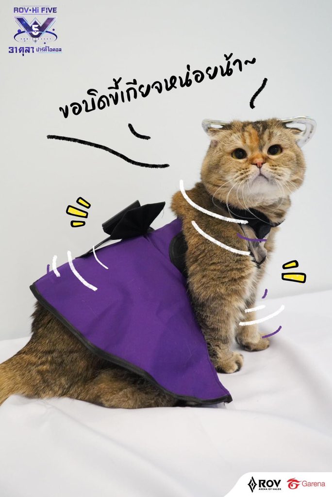GarenaRoVTH's tweet photo. เมื่อเหล่าน้องเหมียวแสนน่ารัก แปลงร่างเป็นไอดอล RoV 😻
พร้อมจะมาชิงพื้นที่หัวใจของพี่ ๆ แล้ว~ น่ารักขนาดไหน มาดูกัน!🐈
แล้วอย่าลืมล็อกอิน 31 ต.ค. นี้
รับ 2 สกินใหม่ Infinity CEO Dirak และ Infinity : Press Secretary Mina ฟรียกเซิร์ฟ 🎊
#RoV31ตุลาปาร์ตี้ไอดอล #31ตุลาRoVสกินใหม่ฟรี https://t.co/vxJGLPk3bu