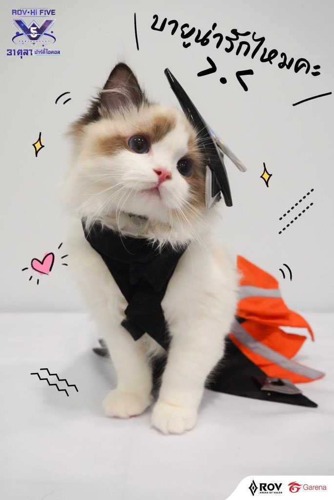 GarenaRoVTH's tweet photo. เมื่อเหล่าน้องเหมียวแสนน่ารัก แปลงร่างเป็นไอดอล RoV 😻
พร้อมจะมาชิงพื้นที่หัวใจของพี่ ๆ แล้ว~ น่ารักขนาดไหน มาดูกัน!🐈
แล้วอย่าลืมล็อกอิน 31 ต.ค. นี้
รับ 2 สกินใหม่ Infinity CEO Dirak และ Infinity : Press Secretary Mina ฟรียกเซิร์ฟ 🎊
#RoV31ตุลาปาร์ตี้ไอดอล #31ตุลาRoVสกินใหม่ฟรี https://t.co/vxJGLPk3bu