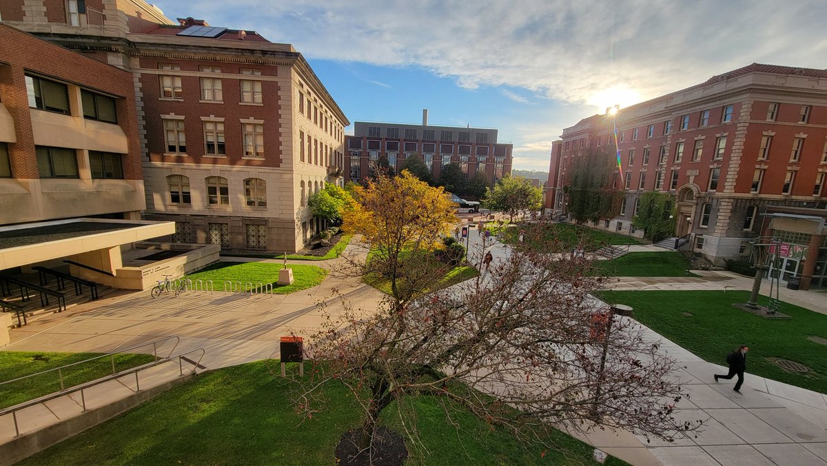 #FallMornings <a href="/SyracuseU/">Syracuse University</a> 🍂