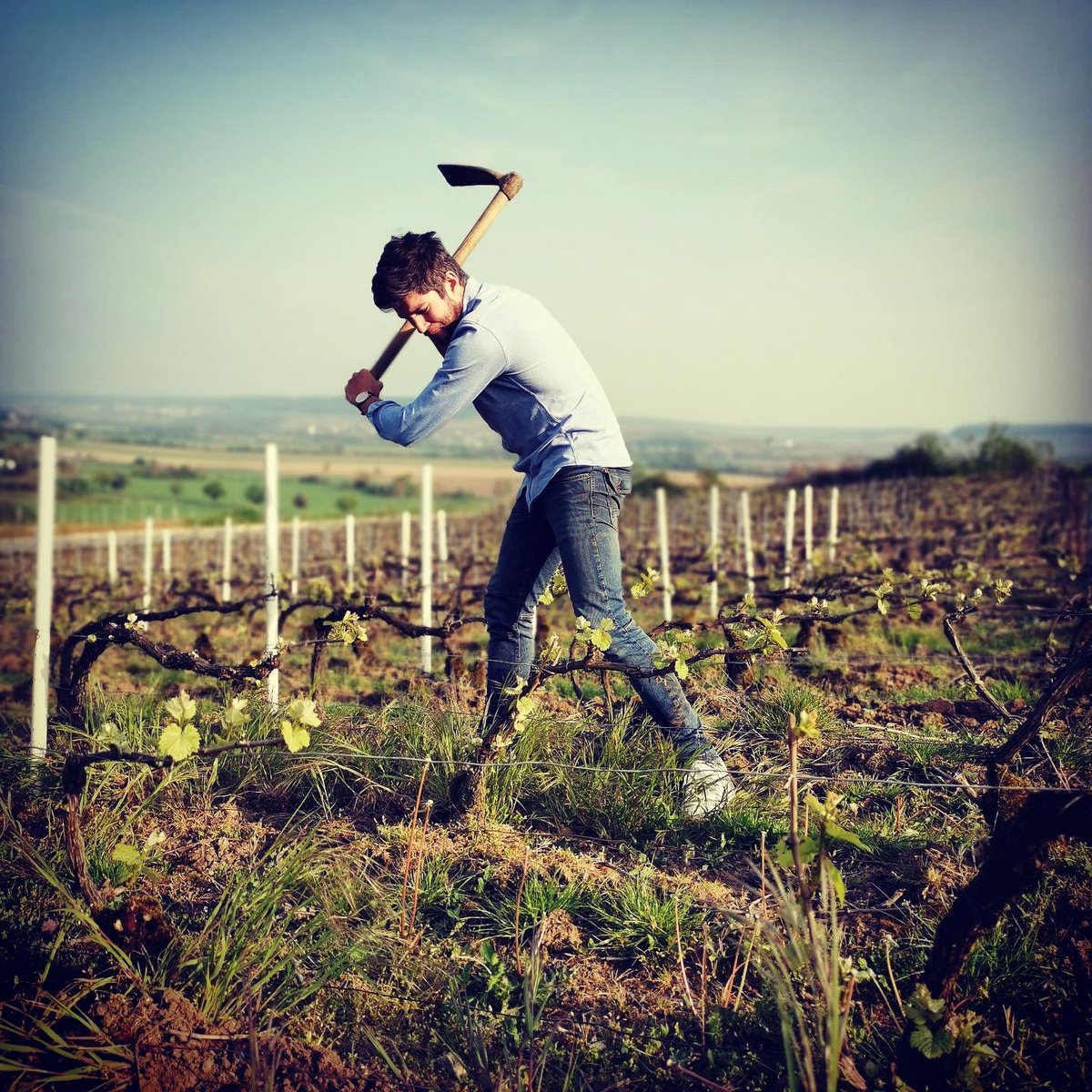 Blev förälskad i Famille Delouvins viner i 2020 och har sedan dess sett fram emot första releaserna av Geoffreys helt egna viner. Nu finns alla godbitar i lager även om ett par av dem börjar sina.

Läs mer om stora talangen Geoffrey Delouvin här: winescout.se/vinodlare/fami…