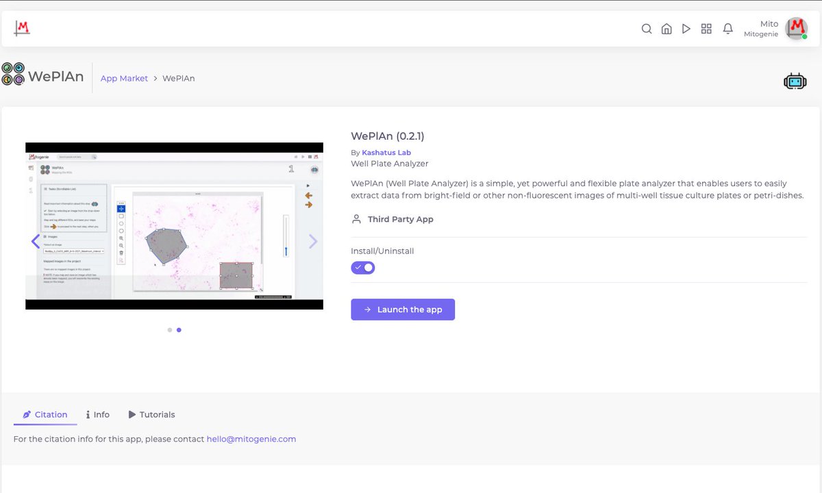 Mitogenie tweet media