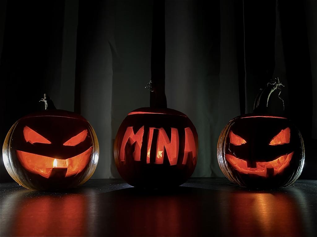 cryptomaroder's tweet image. #MinaCommunity
#Snarkoween