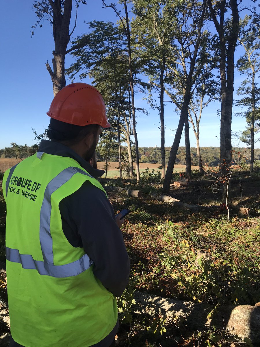 EmilieRabeteau's tweet photo. FOREDAVENIR toujours ! Journée de terrain pour suivre les chantiers ! CRPF , Pellegrue / Ayguemorte #DynamicBois @ademe https://t.co/SeaAZLgeTA