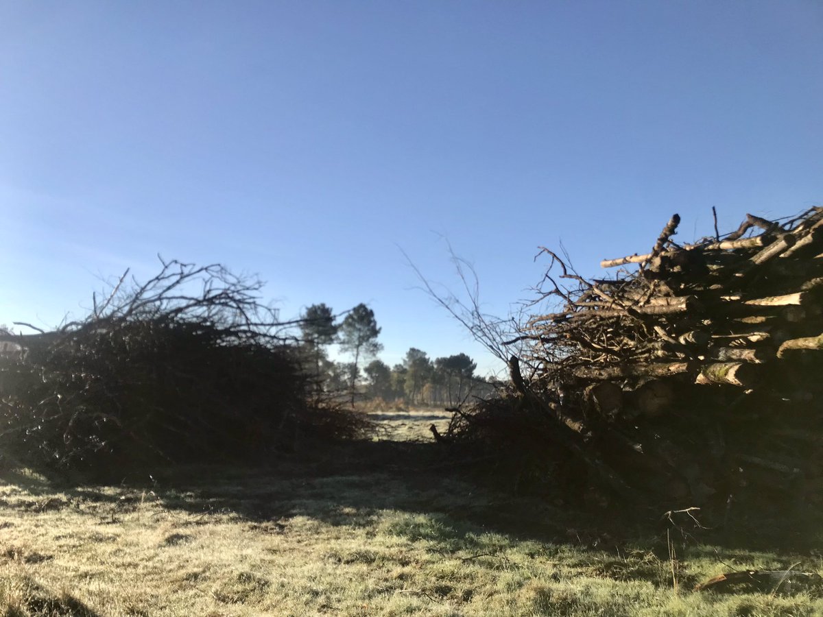 EmilieRabeteau's tweet photo. FOREDAVENIR toujours ! Journée de terrain pour suivre les chantiers ! CRPF , Pellegrue / Ayguemorte #DynamicBois @ademe https://t.co/SeaAZLgeTA