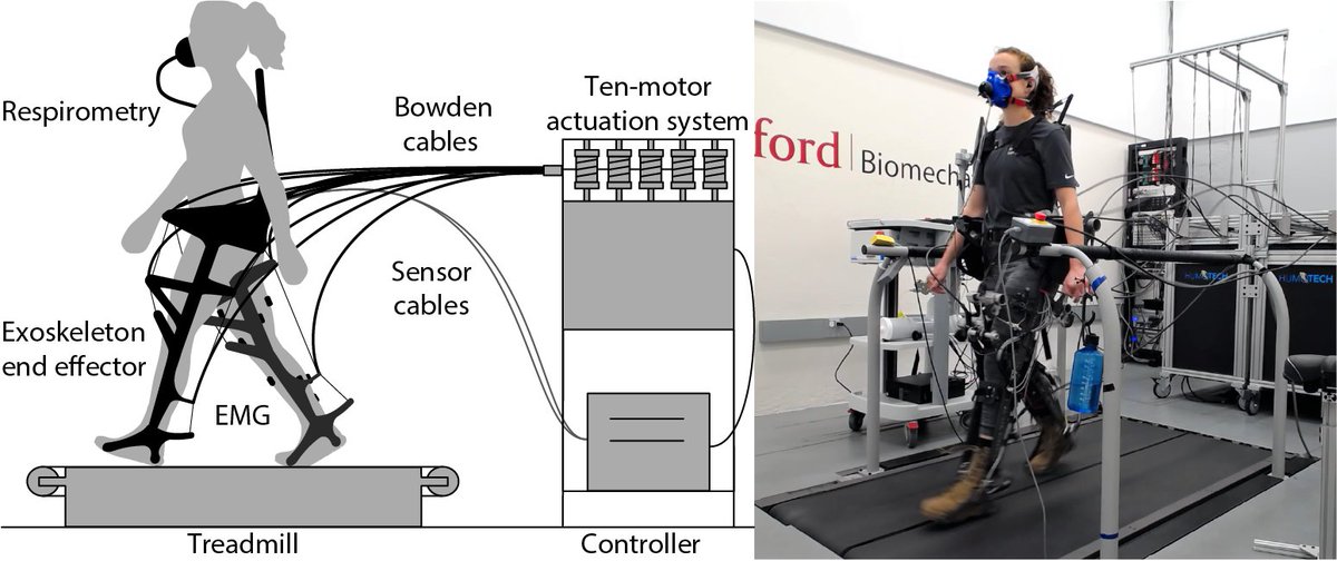 Our recent study in JNER optimized whole-leg exoskeleton assistance at a range of walking speeds. jneuroengrehab.biomedcentral.com/articles/10.11…
Are benefits from exo assistance speed dependent? Yes!
Does optimized exoskeleton assistance change with walking speed? Not as clearly as you would think. 1/7
