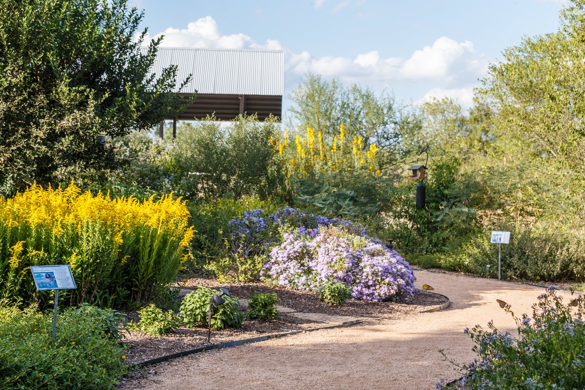 Audubon Texas tweet media