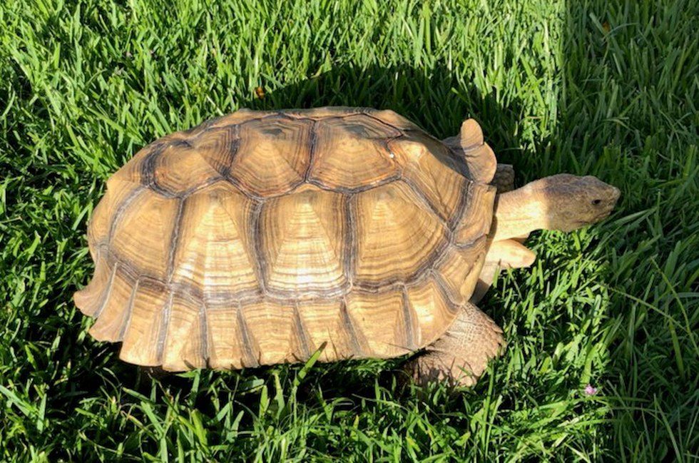 Ground Control to Major Tom!

buff.ly/3mfk1UA