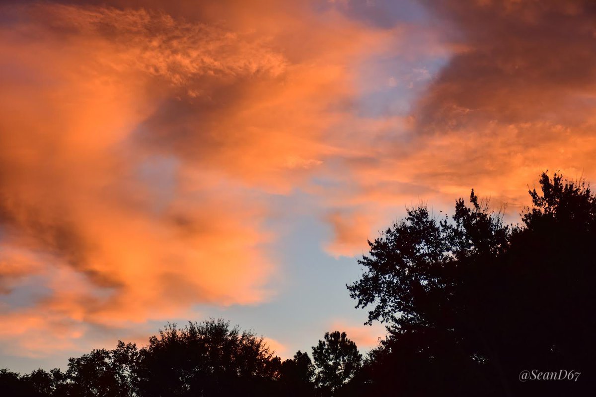 seand6711's tweet photo. Morning sky at 7:43 AM! 🌅☕️ @seand6711 #goodmorning #sunrise #fall #october #dramaticsky #autumn #cloudscape #georgia #cloudsonfire #atlanta #weather #art  #riseandshine #Wednesday #sunrisephotography #landscape #photography https://t.co/69gmEdvbR5