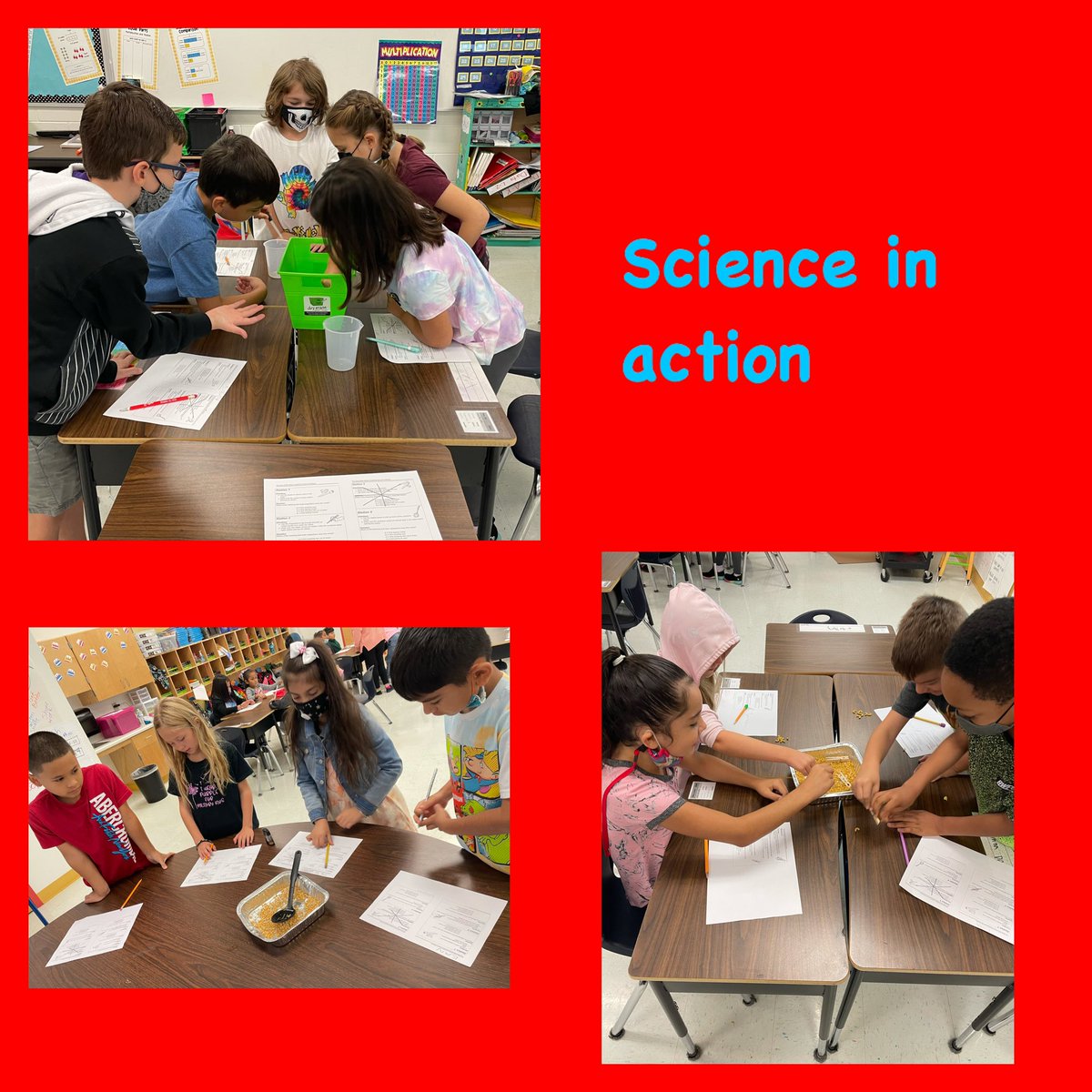 adri_martinez30's tweet photo. 3rd Grade Mavericks are excited to learn about adaptations. We love being in groups and learning to work as a team. @NISDBoldt #NISDElemScience https://t.co/zKTeEyj0uY