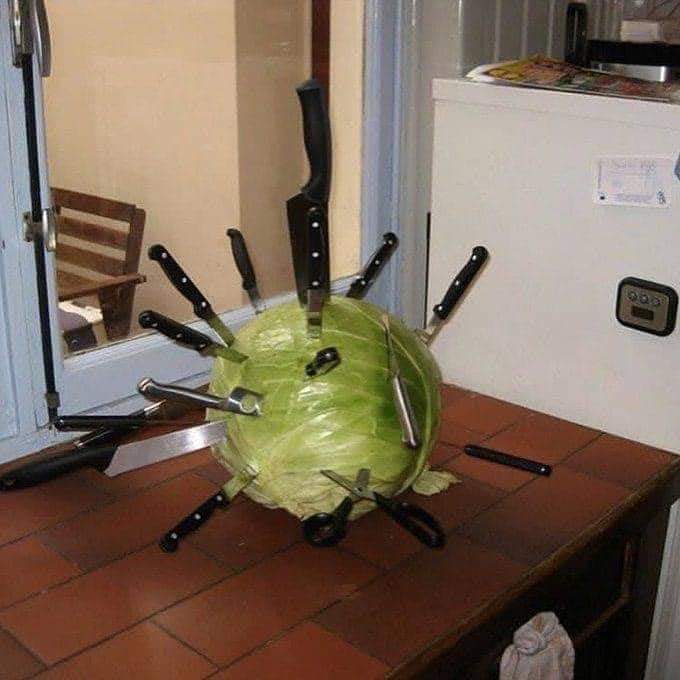 Anna Berserk 🆎️ tweet media