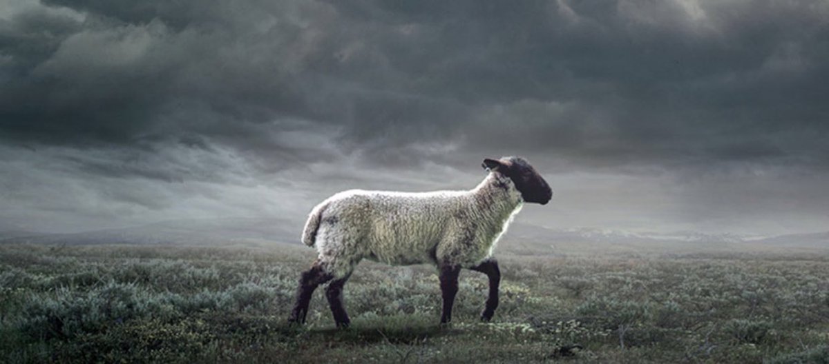 Blue Springs Church of Christ tweet media