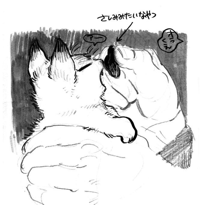 ナオヤ猫とトージの幻覚(獣化) 