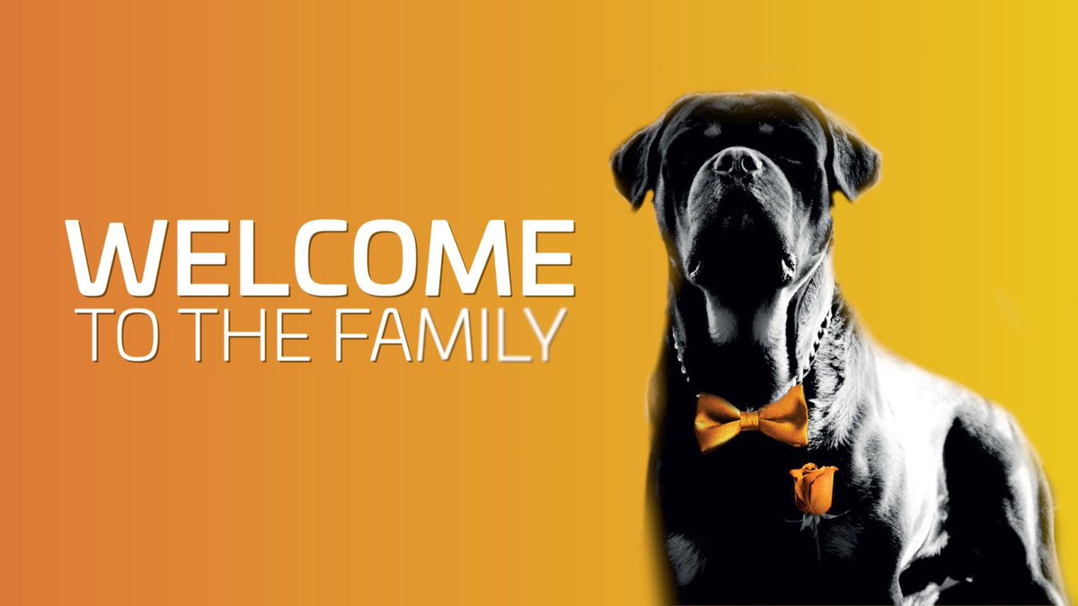 Have you missed any of the #RUCKUS Technical Family webinars? Visit RTF site to watch on-demand, browse newsletter archives, chat with our Engineers on Forums and more! bitly.com/3pmKIc2 For more information here bitly.com/3lTZWSj

#networkengineer #wifisolutions