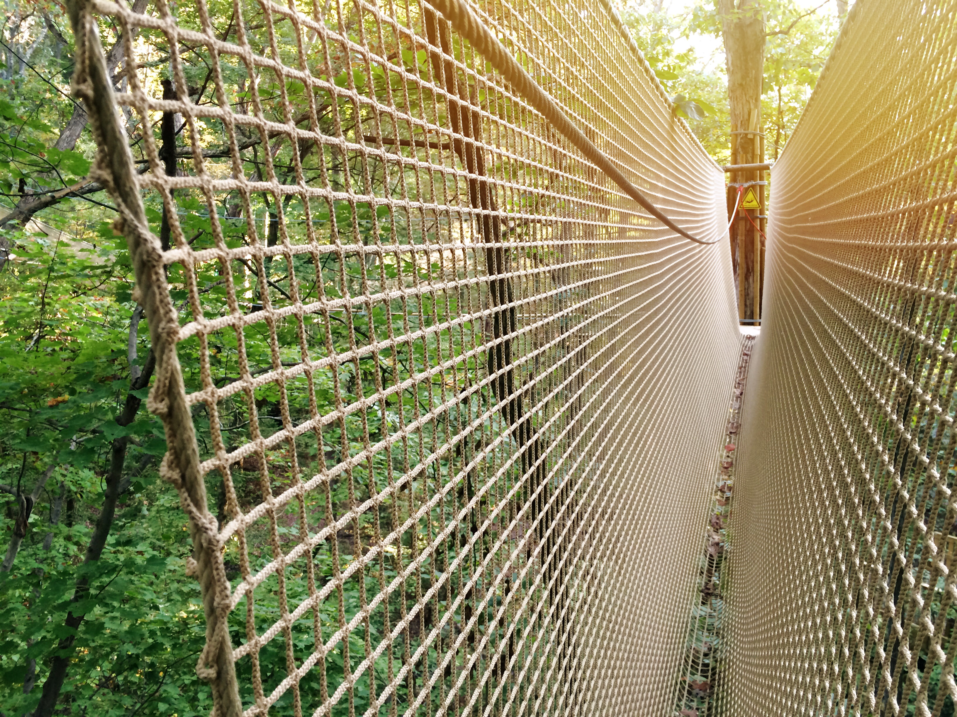 Go Ape Usa Goapeusa Twitter