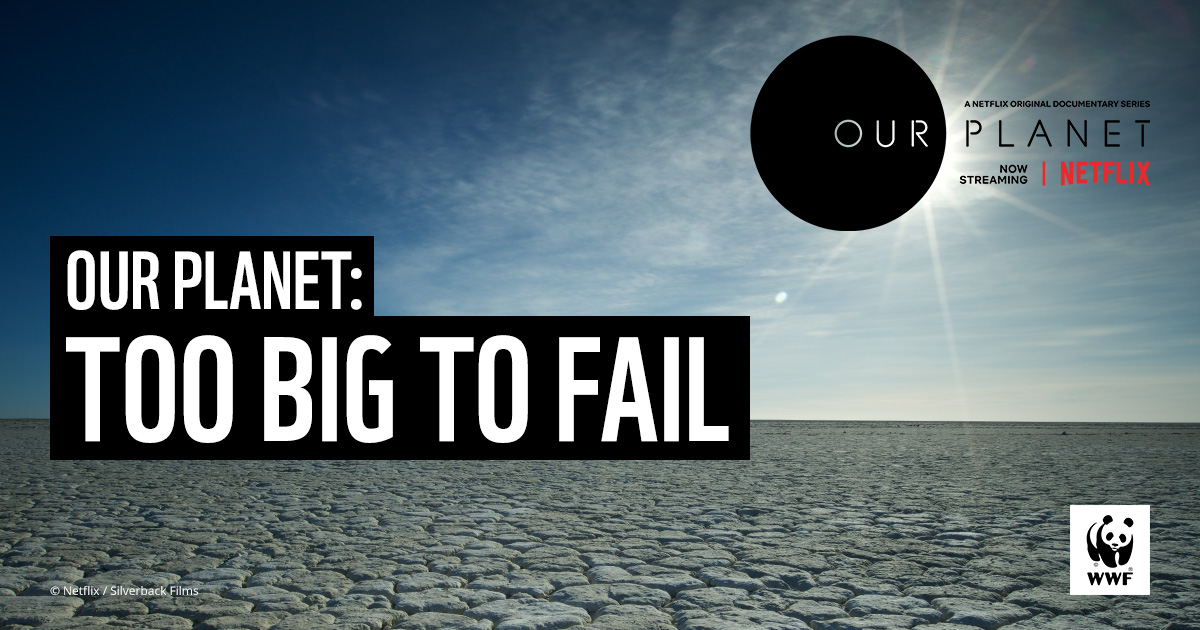 triodosuk's tweet photo. Are you going to be in #Glasgow during #COP26? 

@wwf_uk @MMMoneyMatter and @AvivaUK are hosting a screening of the powerful #sustainablefinance film #OurPlanetTooBigToFail. 

Join us in person on 02 Nov to hear Bevis Watts speaking as part of the panel https://t.co/LgERTFtnkz https://t.co/tzhshQLz4q
