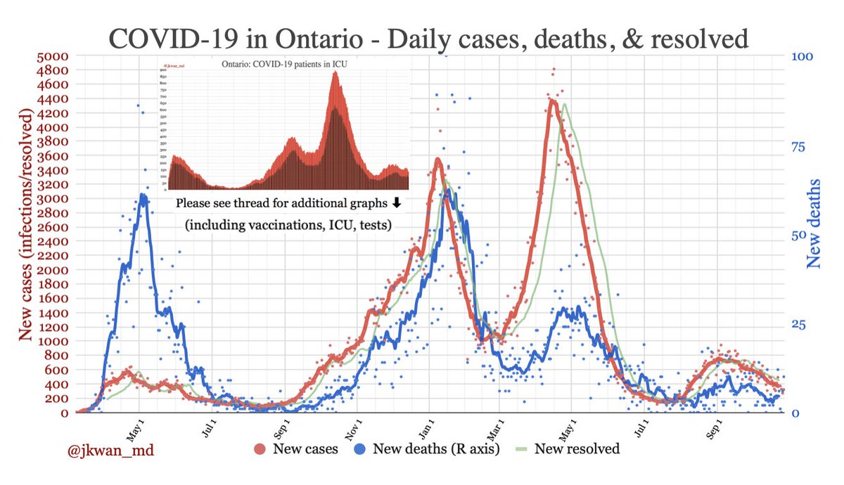 Dr. Jennifer Kwan tweet media