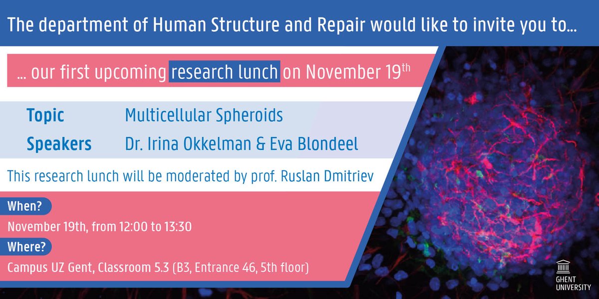 Ruslan Dmitriev (@photobiolab) on Twitter photo I will chair and moderate research lunch at our Dept on 19-November. We will talk about #spheroids and how to improve their production and #oxygenation <a href="/uzgent/">UZ Gent</a> <a href="/VIBLifeSciences/">VIB</a> <a href="/EvaBlondeel/">Eva Blondeel</a> <a href="/crighent/">CRIG</a> <a href="/TissueEngKulak/">Heidi Declercq</a> <a href="/microscopyUGent/">Ghent Light Microscopy CORE</a> Feel free to join here shorturl.at/vBJTU I will chair and moderate research lunch at our Dept on 19-November. We will talk about #spheroids and how to improve their production and #oxygenation <a href="/uzgent/">UZ Gent</a> <a href="/VIBLifeSciences/">VIB</a> <a href="/EvaBlondeel/">Eva Blondeel</a> <a href="/crighent/">CRIG</a> <a href="/TissueEngKulak/">Heidi Declercq</a> <a href="/microscopyUGent/">Ghent Light Microscopy CORE</a> Feel free to join here shorturl.at/vBJTU