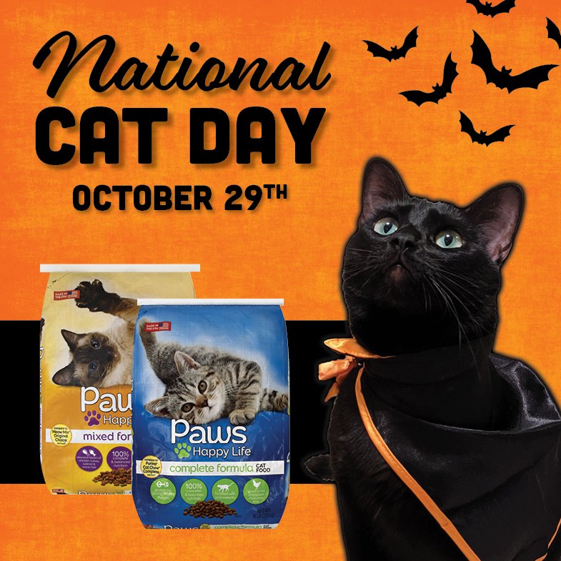 It's National Cat Day, and you can pamper the spooky kitty in your life with Paws Happy Life! Find the formula that is right for your furry best friends at your local Brookshire Brothers. 🐈🦇

#NationalCatDay #Halloween #spookycat #catlife