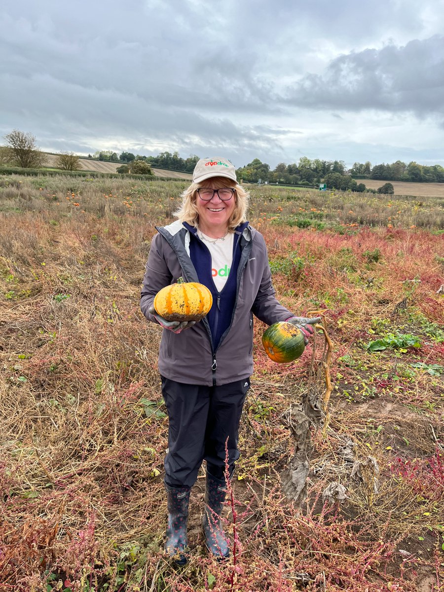 CropDropBanes's tweet photo. Yesterday we embarked on our second glean of 2021.
Encouraged by the successful sweetcorn harvest last week and the wonderful response from our volunteers, we accepted the challenge to pick #PerfectPumpkins and #SuperSquash @Newtonfarmfoods at 48 hours notice! https://t.co/KVZuCgdm5v