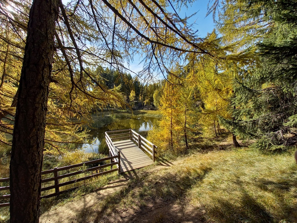 Panoramaweg Brambrüesch - Dreibündenstein - Feldis, 
ergänzt mit Rundwegen auf der Feldiser Alp

wandersite.ch/Tageswanderung…