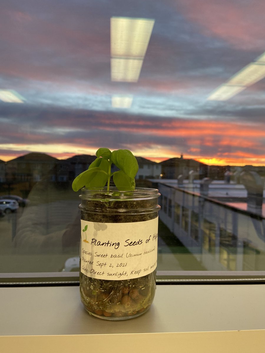 Ready for a great Wednesday! Enjoying my view. #eccsdhope #spachs
