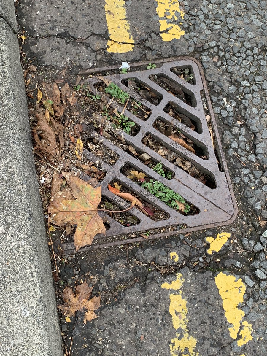 SarahFaherty7's tweet photo. @TaysideContract @scottishwater @PerthandKinross any chance of the drains getting cleared #PH11NY https://t.co/76FvyNaG2R