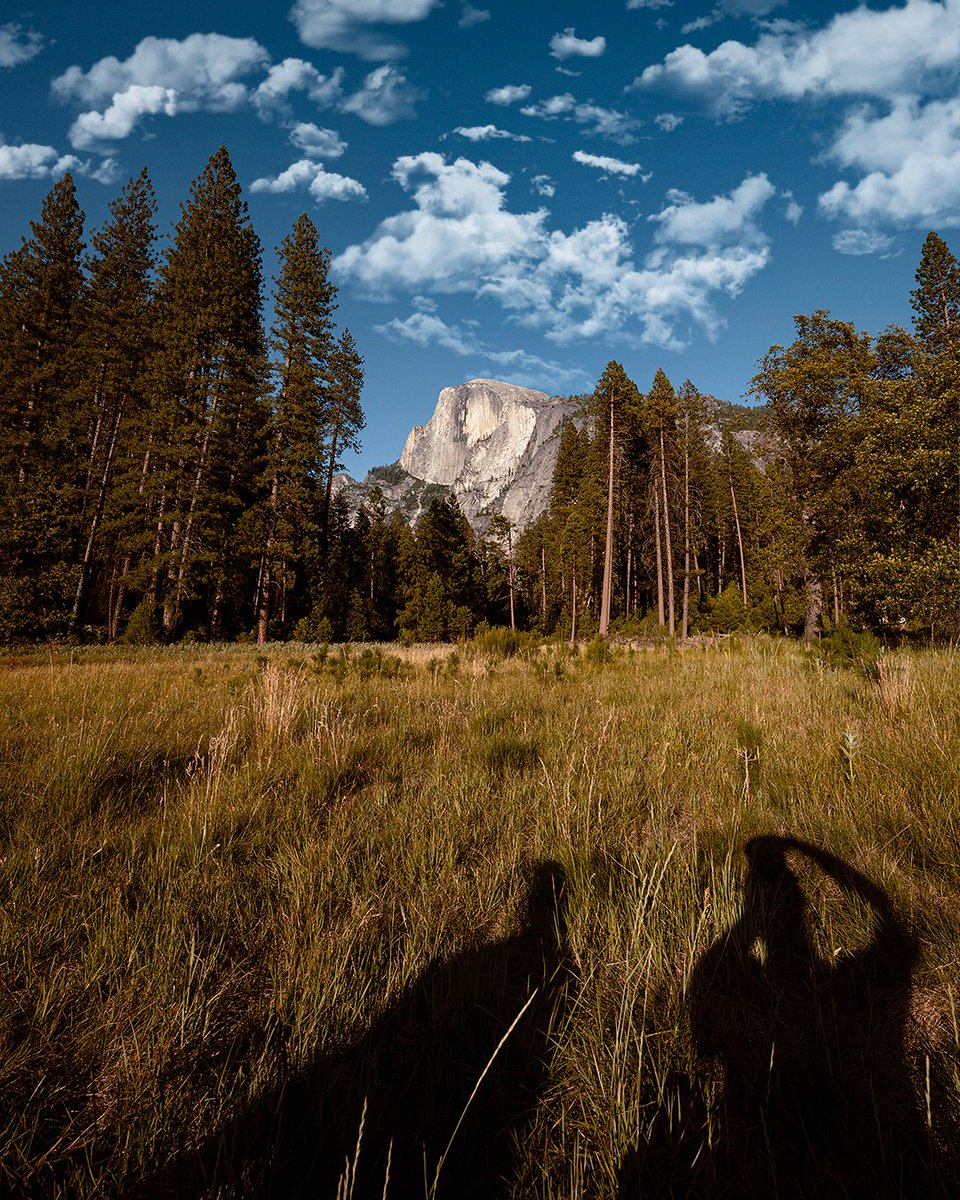 NikonUSA's tweet photo. Shadow simplicity. What's your submission for this month's #ShadowChallenge?
📸: Aubrey Griggs, Z 6 + NIKKOR Z 14-24mm f/2.8 S https://t.co/yOcMVwUTRm