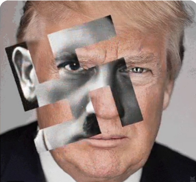 The Motley Truth tweet media